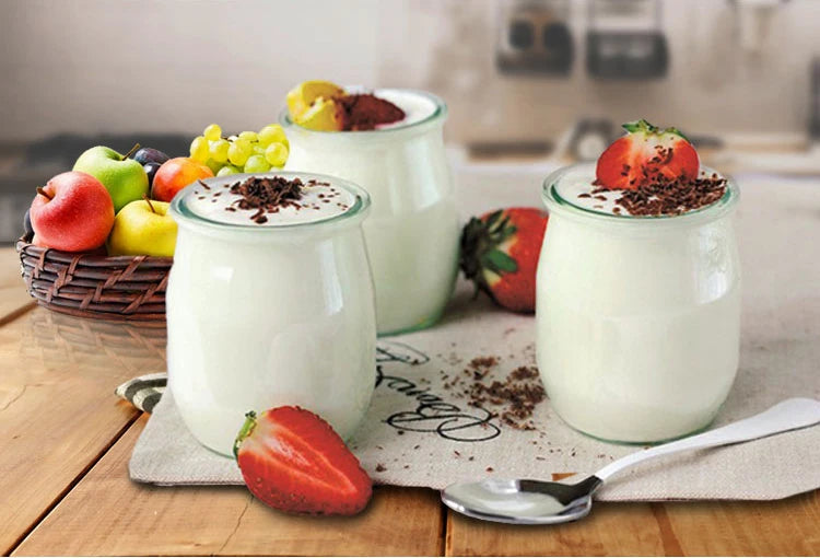 Automatic Electric Yogurt Maker Temperature control with timer Multifunctional Leben Rice Wine Natto Caspian yogurt Machine 110V
