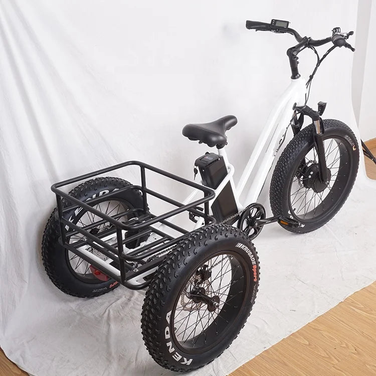 Pedals 3 Wheel Electric Tricycle  with Fat Tire