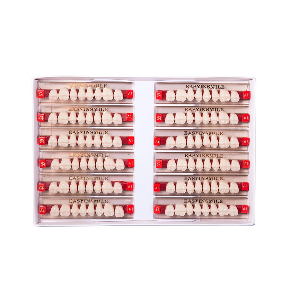 84/96PCS Dental Resin Teeth Acrylic Synthetic Denture A1 A2 A3 Shade 2-Layer Acrylic Denture Education Model Upper/Lower A1-D4