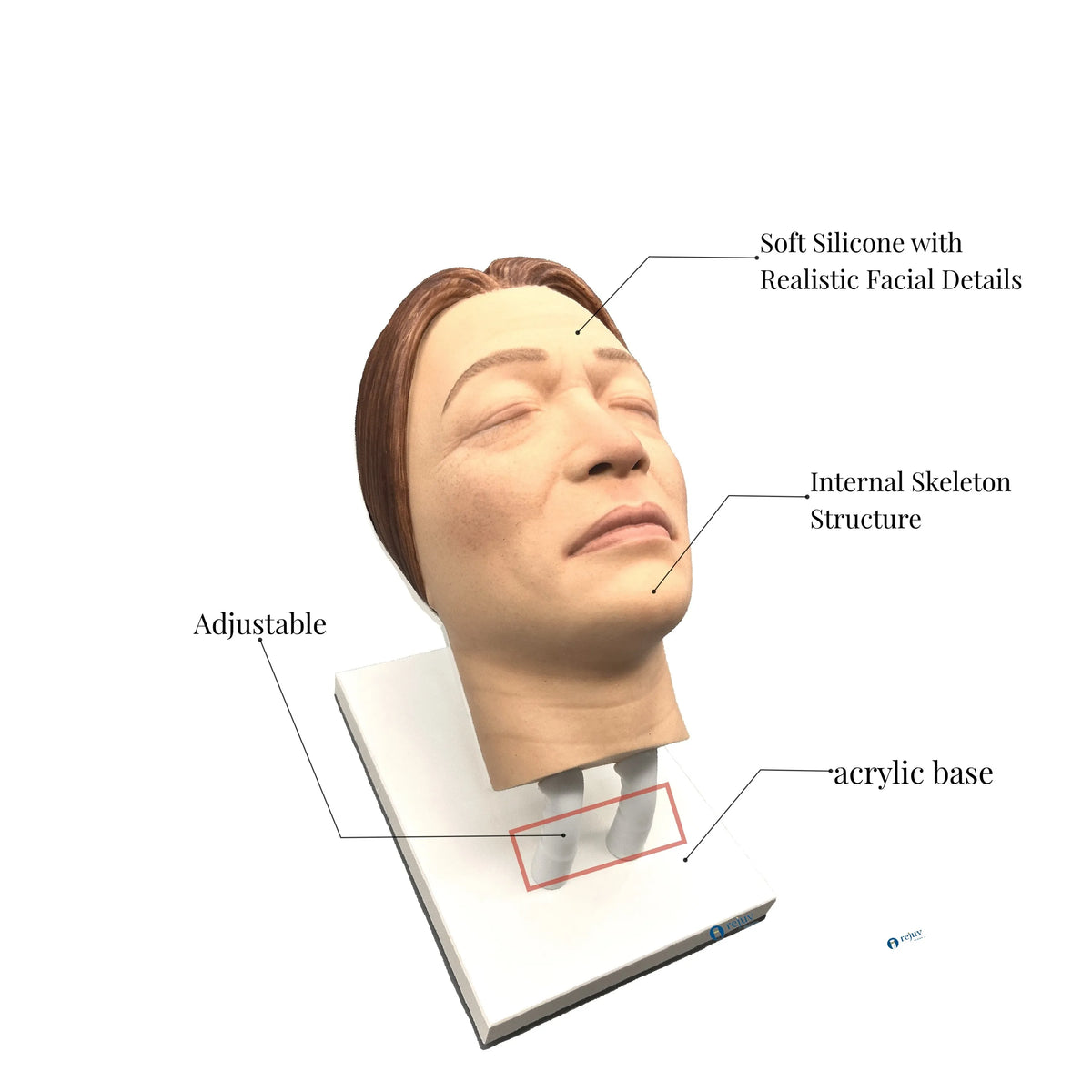 Cosmetic Injection Model, Silicone Female Face Mannequin for Injection Training Aesthetics Botox Dermal Filler Courses