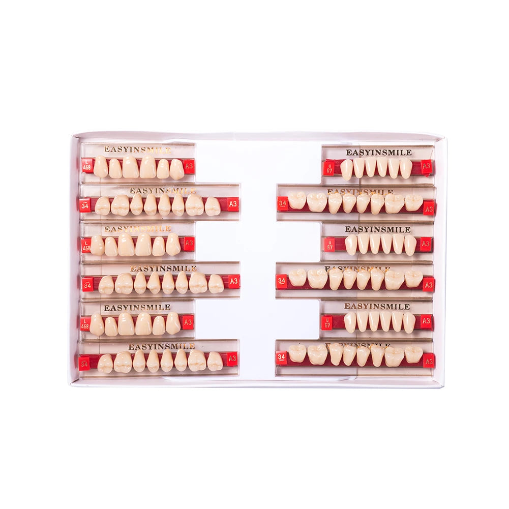 84/96PCS Dental Resin Teeth Acrylic Synthetic Denture A1 A2 A3 Shade 2-Layer Acrylic Denture Education Model Upper/Lower A1-D4
