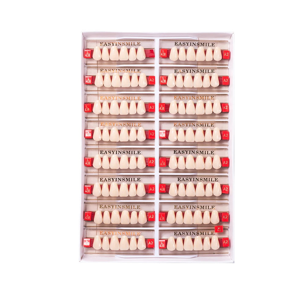 84/96PCS Dental Resin Teeth Acrylic Synthetic Denture A1 A2 A3 Shade 2-Layer Acrylic Denture Education Model Upper/Lower A1-D4