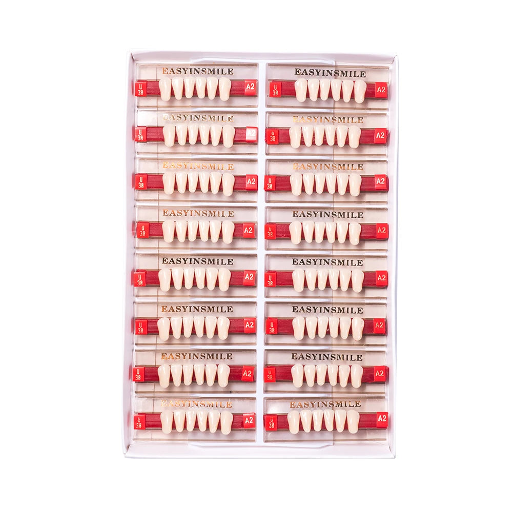 84/96PCS Dental Resin Teeth Acrylic Synthetic Denture A1 A2 A3 Shade 2-Layer Acrylic Denture Education Model Upper/Lower A1-D4