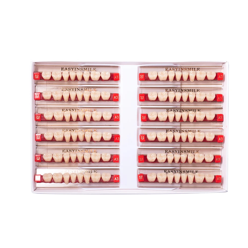 84/96PCS Dental Resin Teeth Acrylic Synthetic Denture A1 A2 A3 Shade 2-Layer Acrylic Denture Education Model Upper/Lower A1-D4