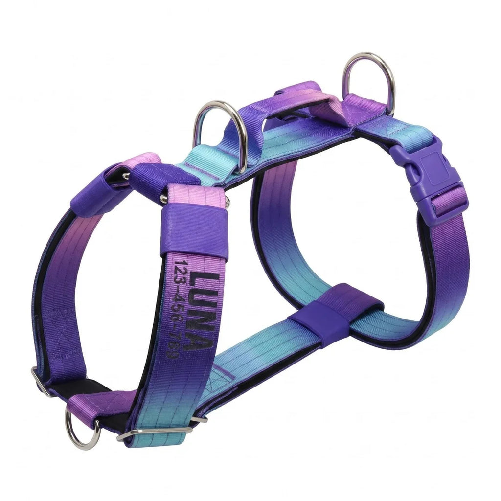 No Pull Reflective Dog Harness, Adjustable Chest Vest for Small Medium Large Dogs, Custom Embroidered Name & Phone