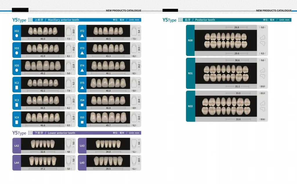 84/96PCS Dental Resin Teeth Acrylic Synthetic Denture A1 A2 A3 Shade 2-Layer Acrylic Denture Education Model Upper/Lower A1-D4