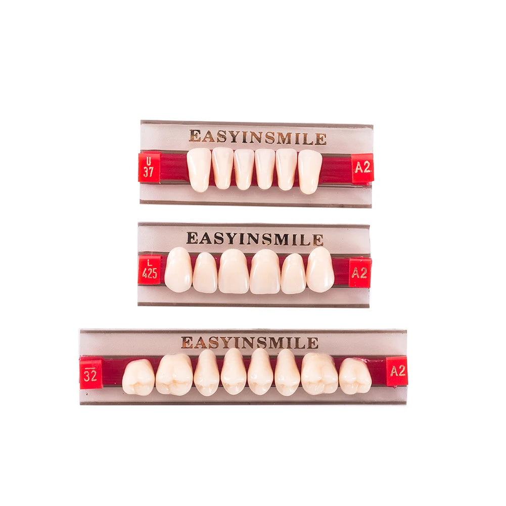 84/96PCS Dental Resin Teeth Acrylic Synthetic Denture A1 A2 A3 Shade 2-Layer Acrylic Denture Education Model Upper/Lower A1-D4