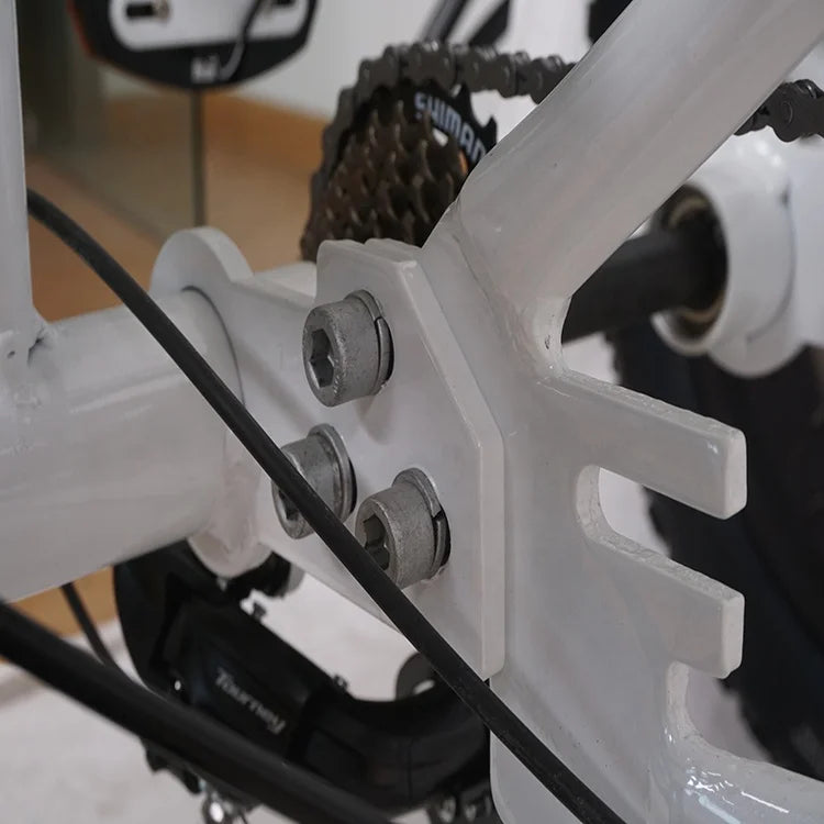 Pedals 3 Wheel Electric Tricycle  with Fat Tire