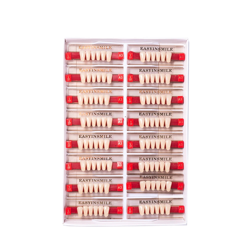 84/96PCS Dental Resin Teeth Acrylic Synthetic Denture A1 A2 A3 Shade 2-Layer Acrylic Denture Education Model Upper/Lower A1-D4