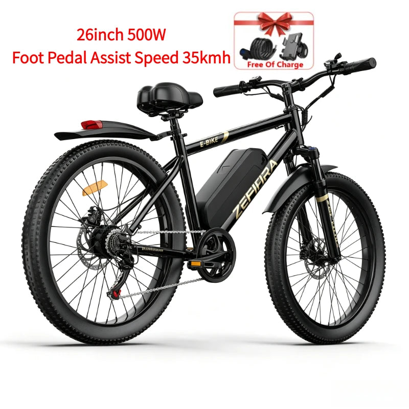Wild Outdoor Exploration Electric Bike, UL2849 Safety Approved Standard, Factory Original, Free US Local Warehouse Shipping