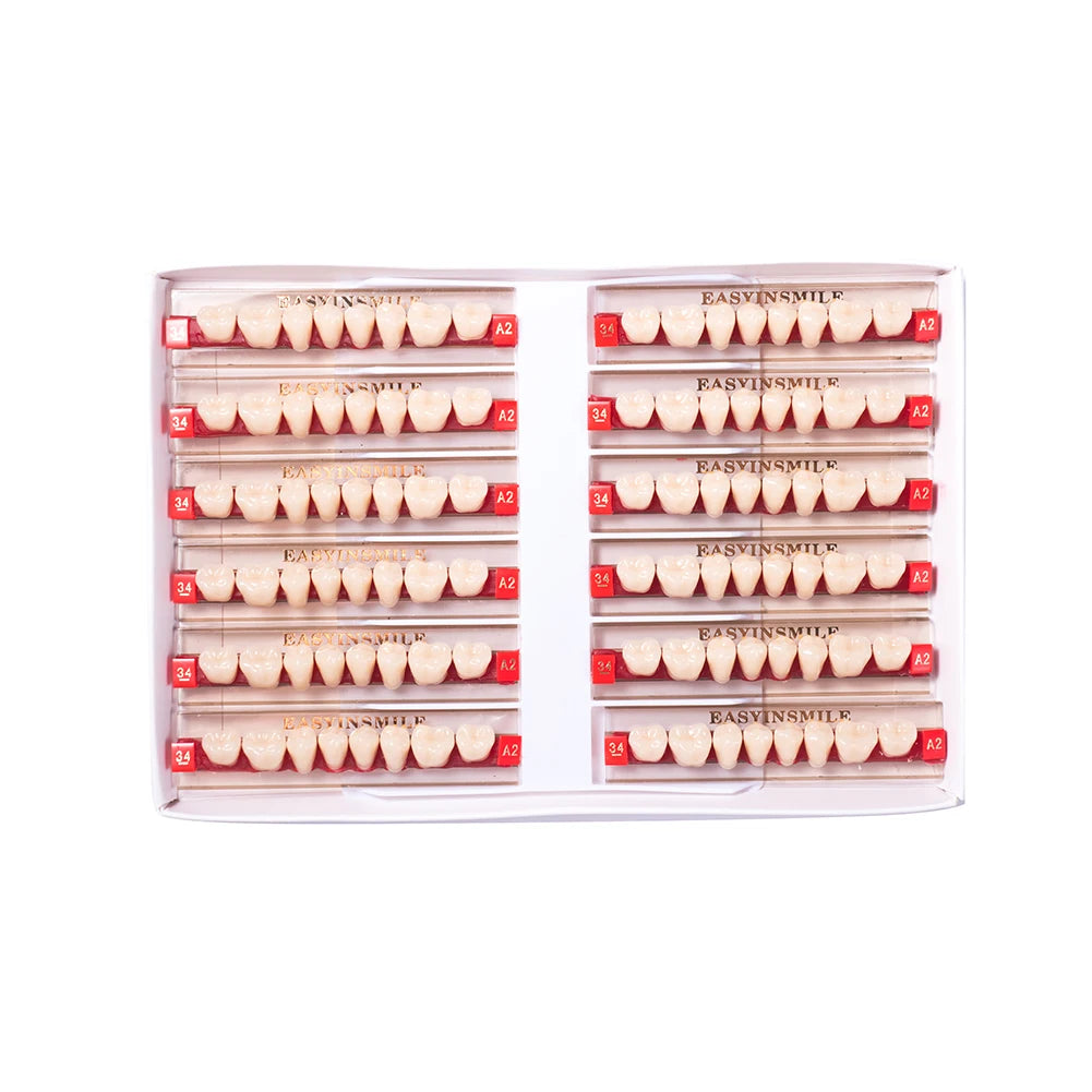 84/96PCS Dental Resin Teeth Acrylic Synthetic Denture A1 A2 A3 Shade 2-Layer Acrylic Denture Education Model Upper/Lower A1-D4