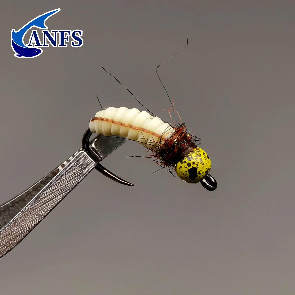 ANFS 4pcs Tungsten Jig Nymph Flies with Fly Box -Nymph Trout, Hand Tied Trout, Trout Fly Fishing Gift