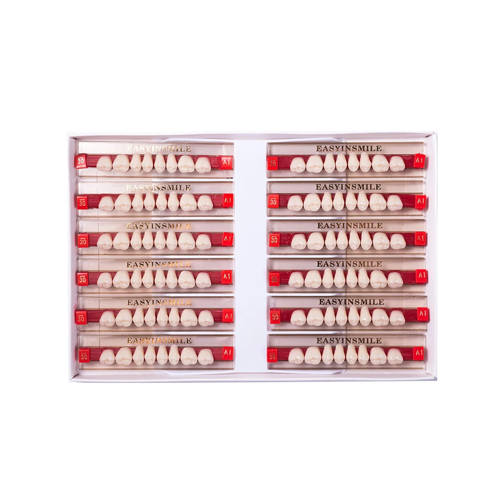 84/96PCS Dental Resin Teeth Acrylic Synthetic Denture A1 A2 A3 Shade 2-Layer Acrylic Denture Education Model Upper/Lower A1-D4