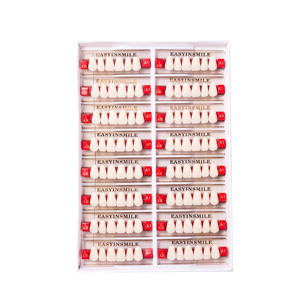 84/96PCS Dental Resin Teeth Acrylic Synthetic Denture A1 A2 A3 Shade 2-Layer Acrylic Denture Education Model Upper/Lower A1-D4