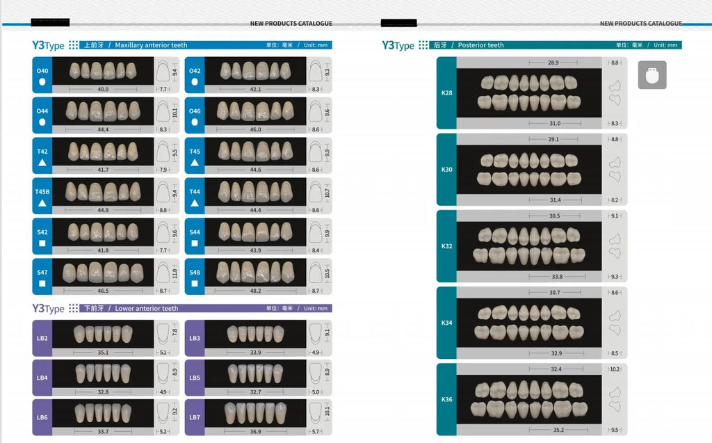 84/96PCS Dental Resin Teeth Acrylic Synthetic Denture A1 A2 A3 Shade 2-Layer Acrylic Denture Education Model Upper/Lower A1-D4