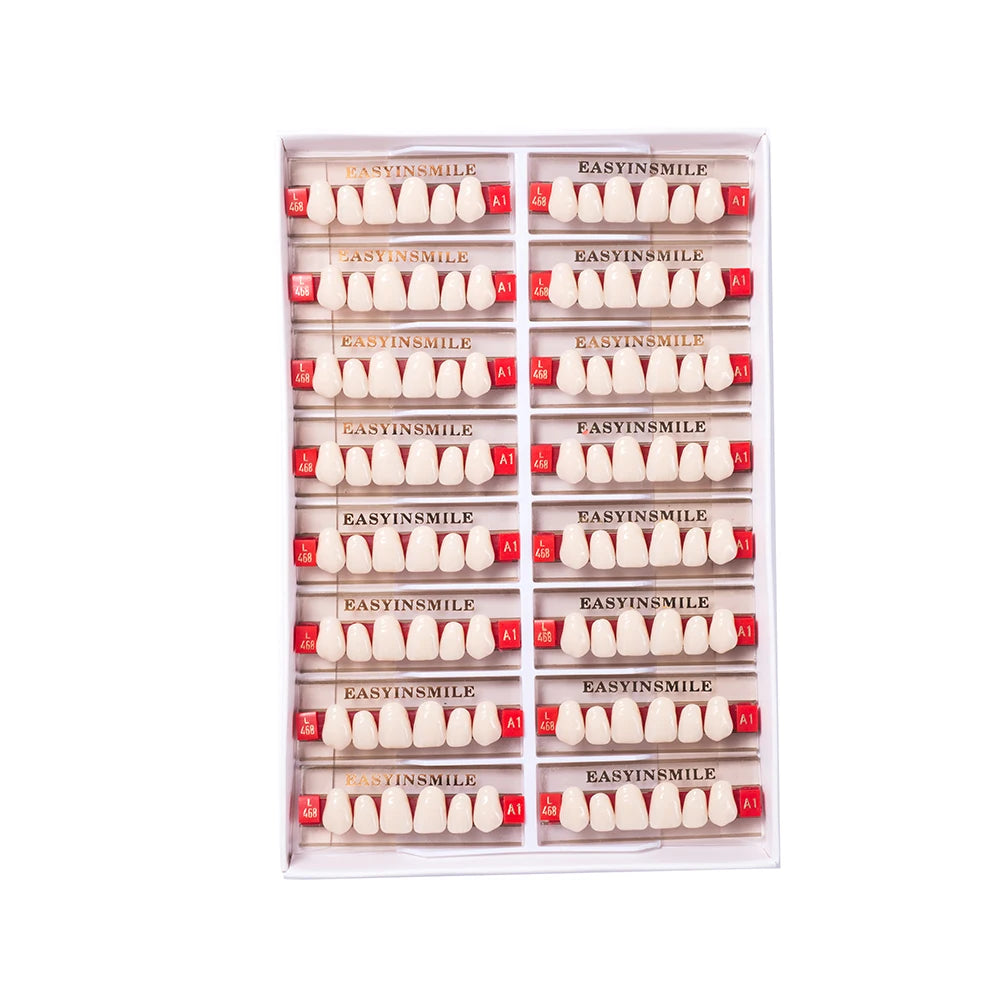 84/96PCS Dental Resin Teeth Acrylic Synthetic Denture A1 A2 A3 Shade 2-Layer Acrylic Denture Education Model Upper/Lower A1-D4