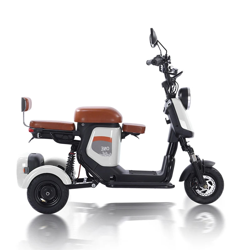 800W 3 Wheeled Electric Bicycle Family Use Electric Tricycle Bike 3 Wheel Ebike for Adults