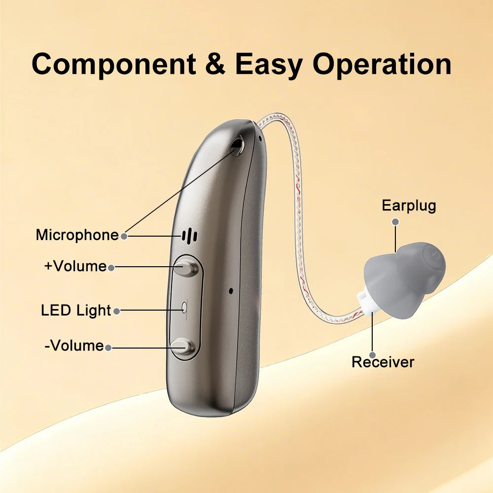 Mirasing Hearing Aids，Bluetooth RIC Hearing Aid - 2025 Rechargeable BTE with Noise Cancelling & Charging Case