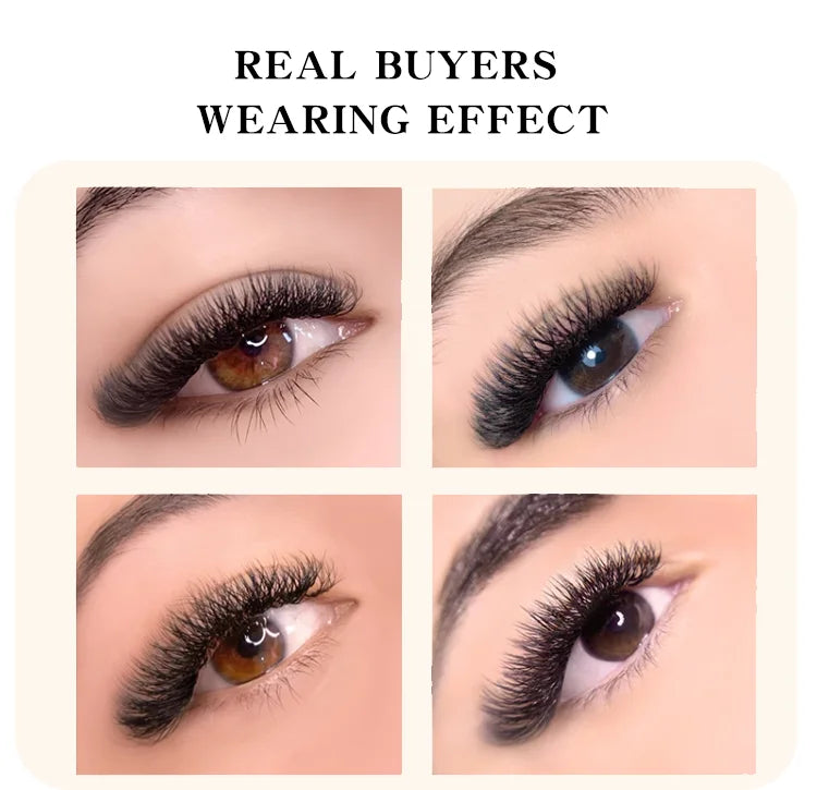 SENSE LASHES 12 Rows 3D 4D 5D 6D W Shape Eyelash Premade Volume Fans Natural Soft Light Full Dense Eyelash Extensions Supplies