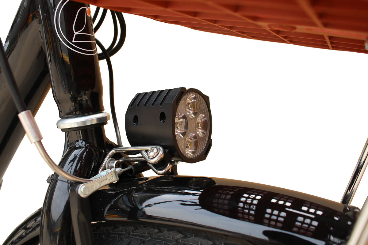Electric Tricycle Model 350W Motor 36V 10Ah Battery Electric Tricycle With Basket Cargo E-Bike