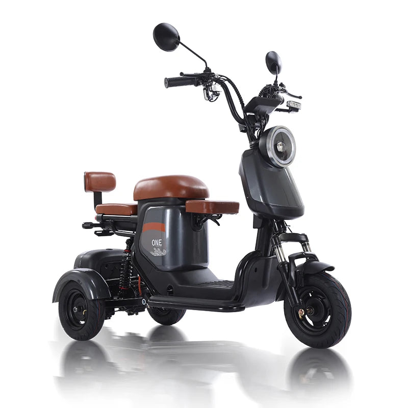 800W 3 Wheeled Electric Bicycle Family Use Electric Tricycle Bike 3 Wheel Ebike for Adults