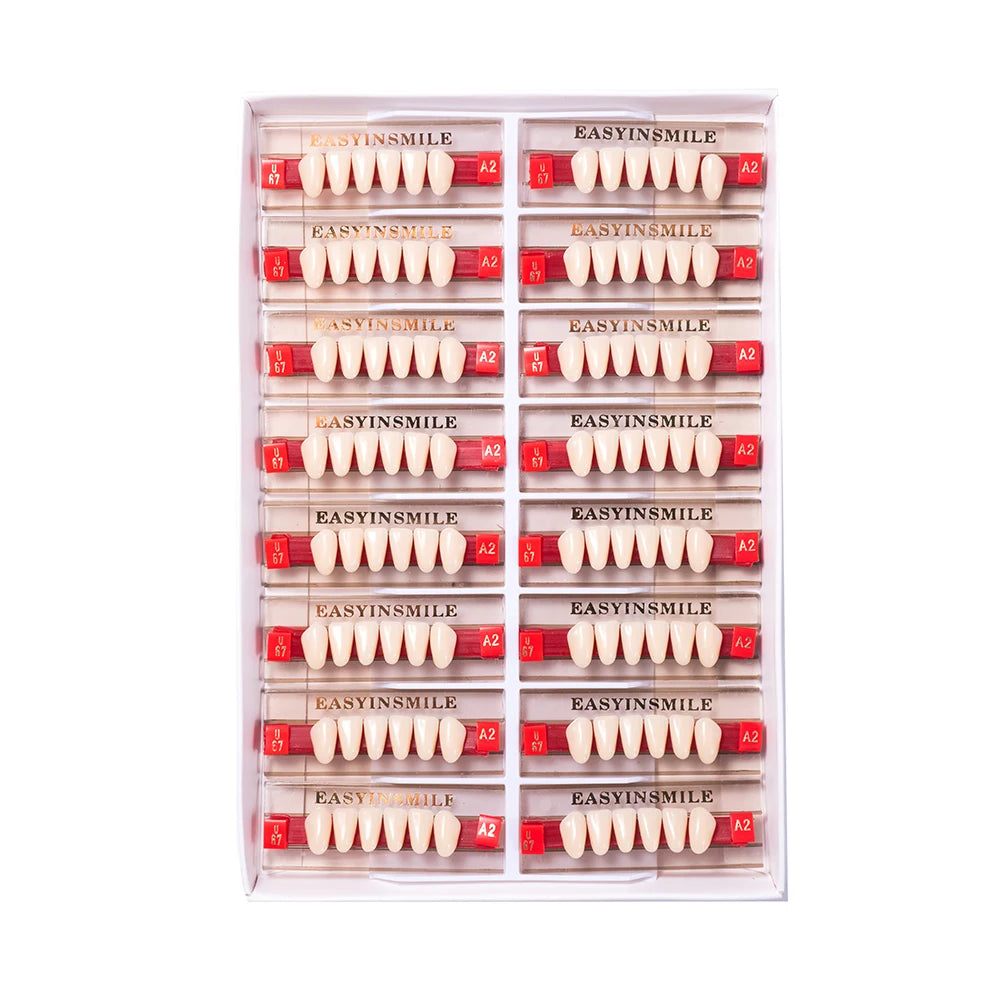 84/96PCS Dental Resin Teeth Acrylic Synthetic Denture A1 A2 A3 Shade 2-Layer Acrylic Denture Education Model Upper/Lower A1-D4