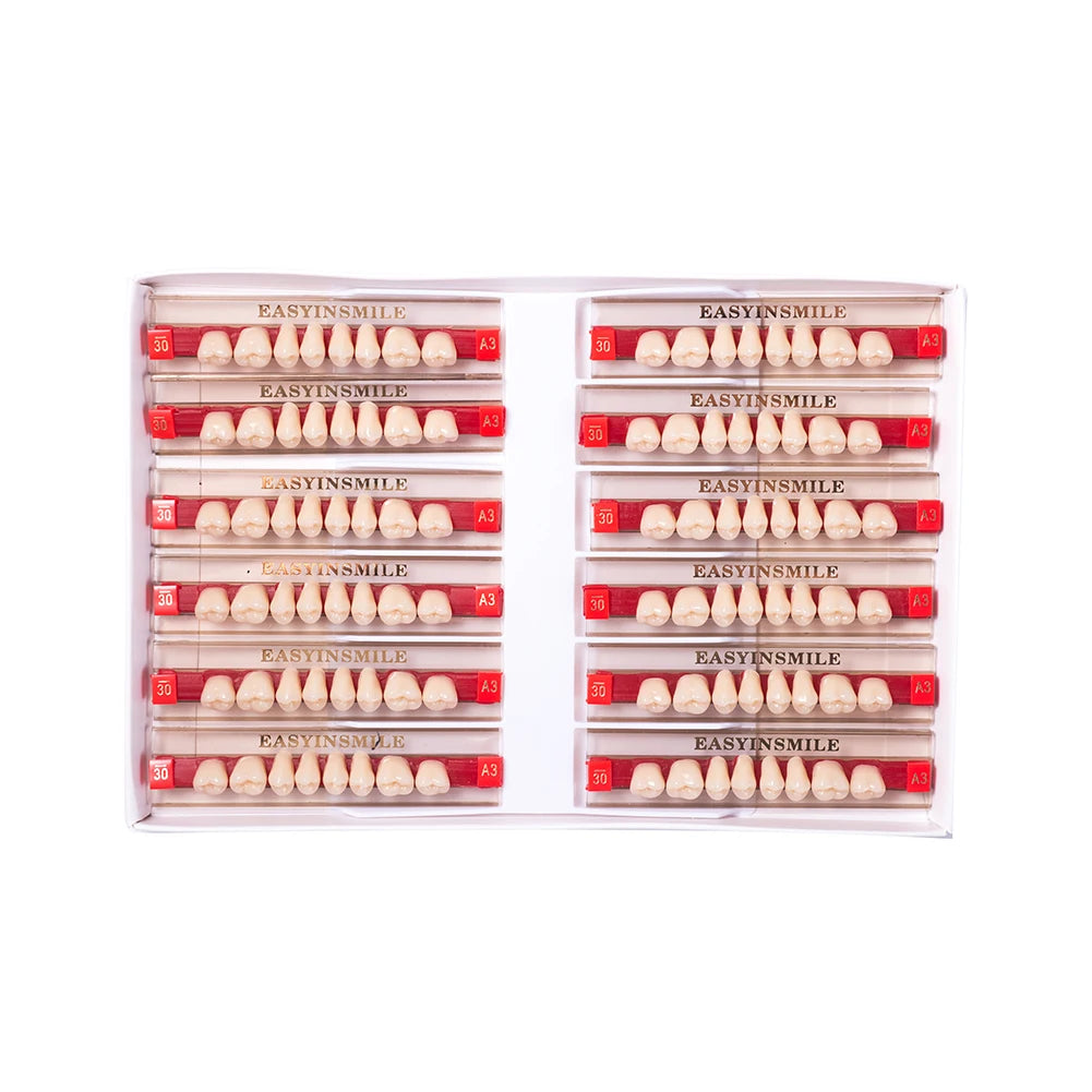 84/96PCS Dental Resin Teeth Acrylic Synthetic Denture A1 A2 A3 Shade 2-Layer Acrylic Denture Education Model Upper/Lower A1-D4