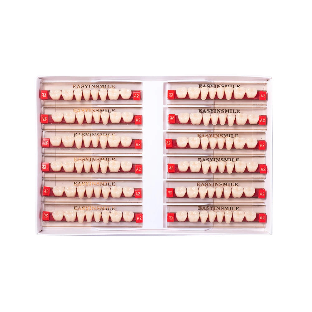 84/96PCS Dental Resin Teeth Acrylic Synthetic Denture A1 A2 A3 Shade 2-Layer Acrylic Denture Education Model Upper/Lower A1-D4