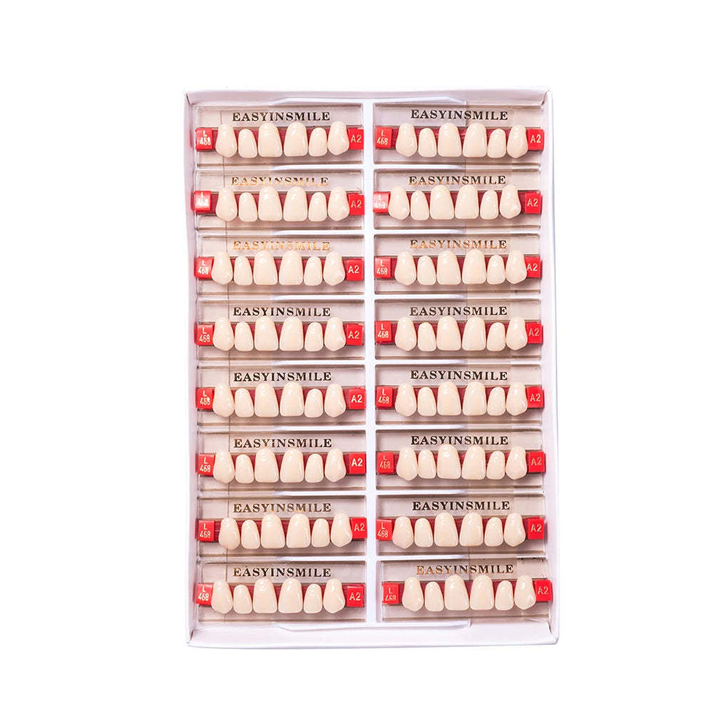 84/96PCS Dental Resin Teeth Acrylic Synthetic Denture A1 A2 A3 Shade 2-Layer Acrylic Denture Education Model Upper/Lower A1-D4