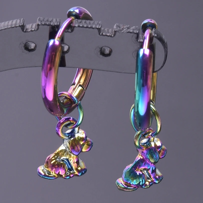 Multistyle Rainbow Ear Jewelry Stainless Steel Hoops Fashion Alloy Heart Wings  Witch Hat Foot Sun Charm Earrings For Women Men
