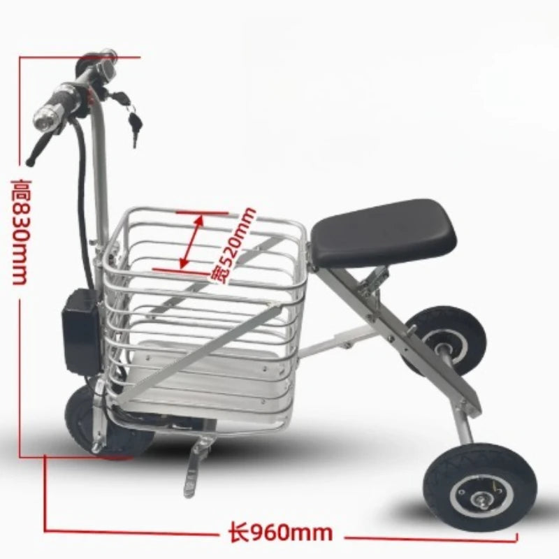 Elderly transportation electric tricycle household small mini electric lightweight shopping pet