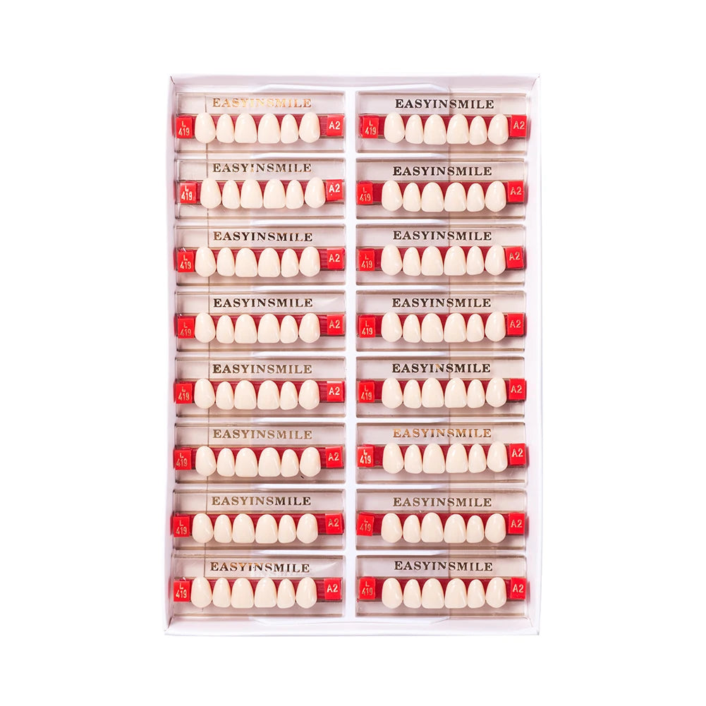84/96PCS Dental Resin Teeth Acrylic Synthetic Denture A1 A2 A3 Shade 2-Layer Acrylic Denture Education Model Upper/Lower A1-D4