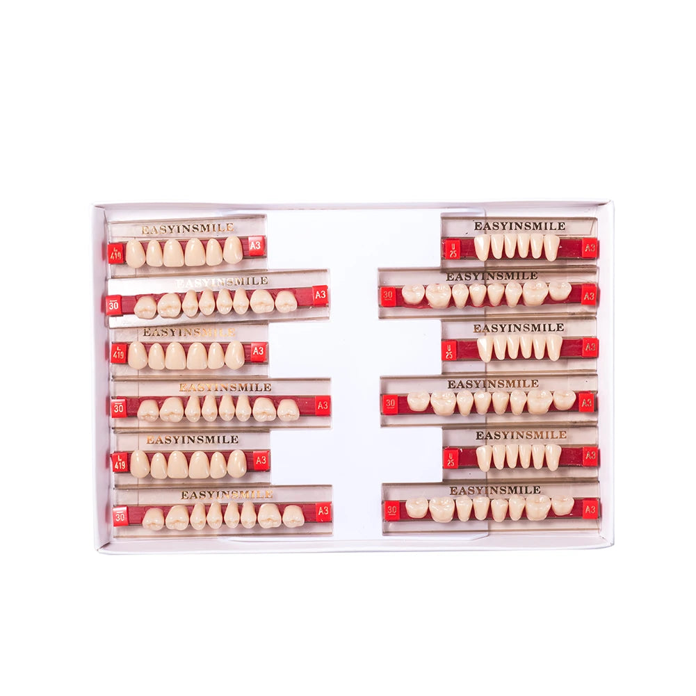 84/96PCS Dental Resin Teeth Acrylic Synthetic Denture A1 A2 A3 Shade 2-Layer Acrylic Denture Education Model Upper/Lower A1-D4