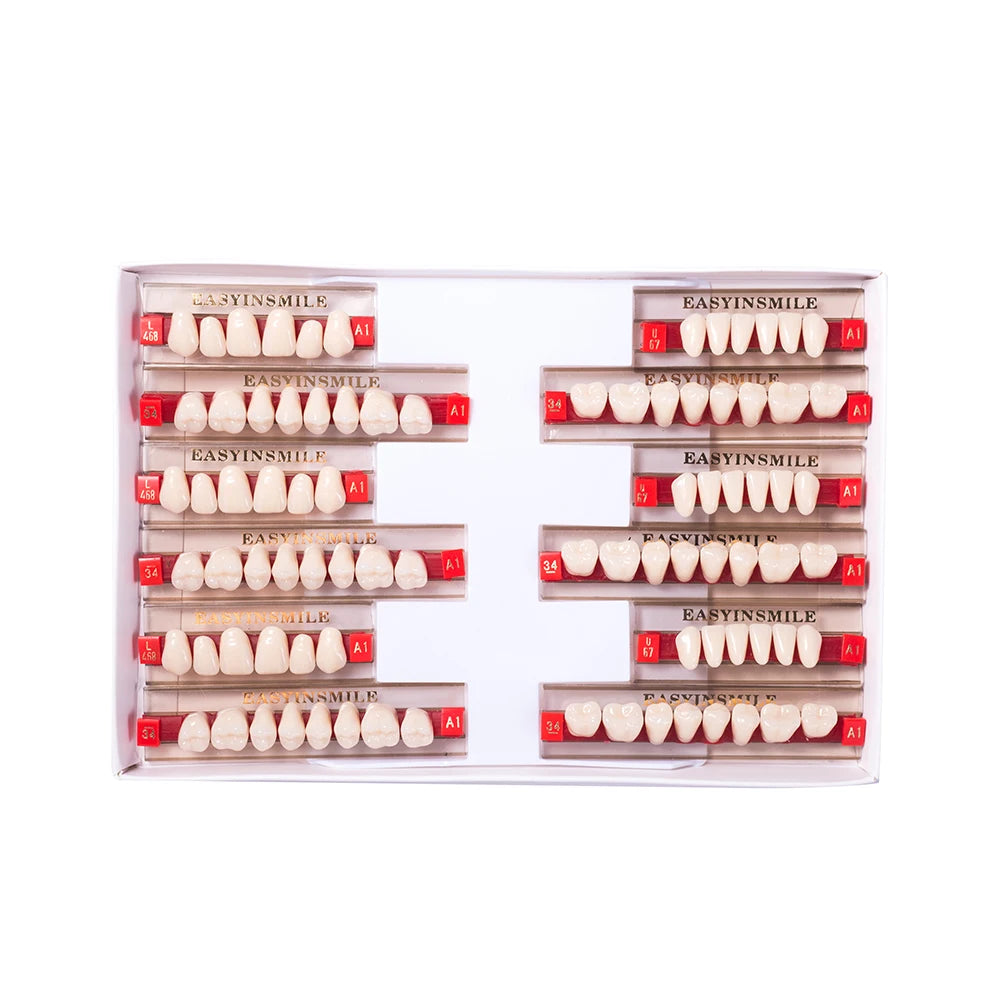 84/96PCS Dental Resin Teeth Acrylic Synthetic Denture A1 A2 A3 Shade 2-Layer Acrylic Denture Education Model Upper/Lower A1-D4