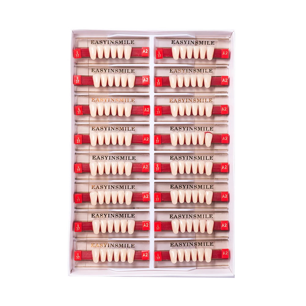 84/96PCS Dental Resin Teeth Acrylic Synthetic Denture A1 A2 A3 Shade 2-Layer Acrylic Denture Education Model Upper/Lower A1-D4