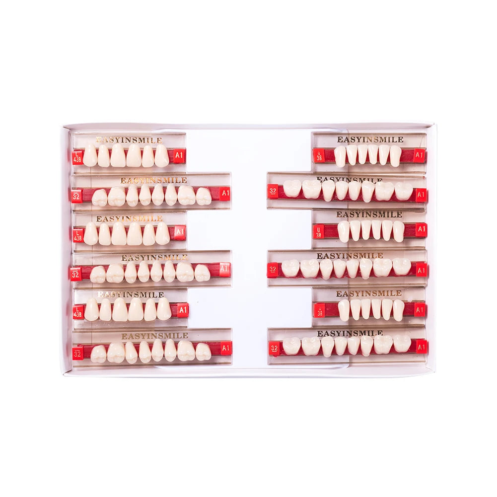 84/96PCS Dental Resin Teeth Acrylic Synthetic Denture A1 A2 A3 Shade 2-Layer Acrylic Denture Education Model Upper/Lower A1-D4