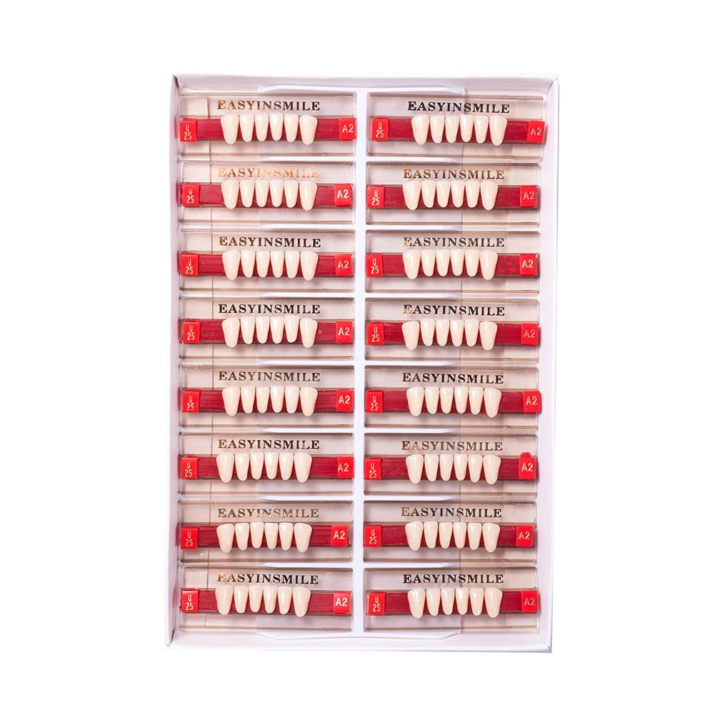 84/96PCS Dental Resin Teeth Acrylic Synthetic Denture A1 A2 A3 Shade 2-Layer Acrylic Denture Education Model Upper/Lower A1-D4