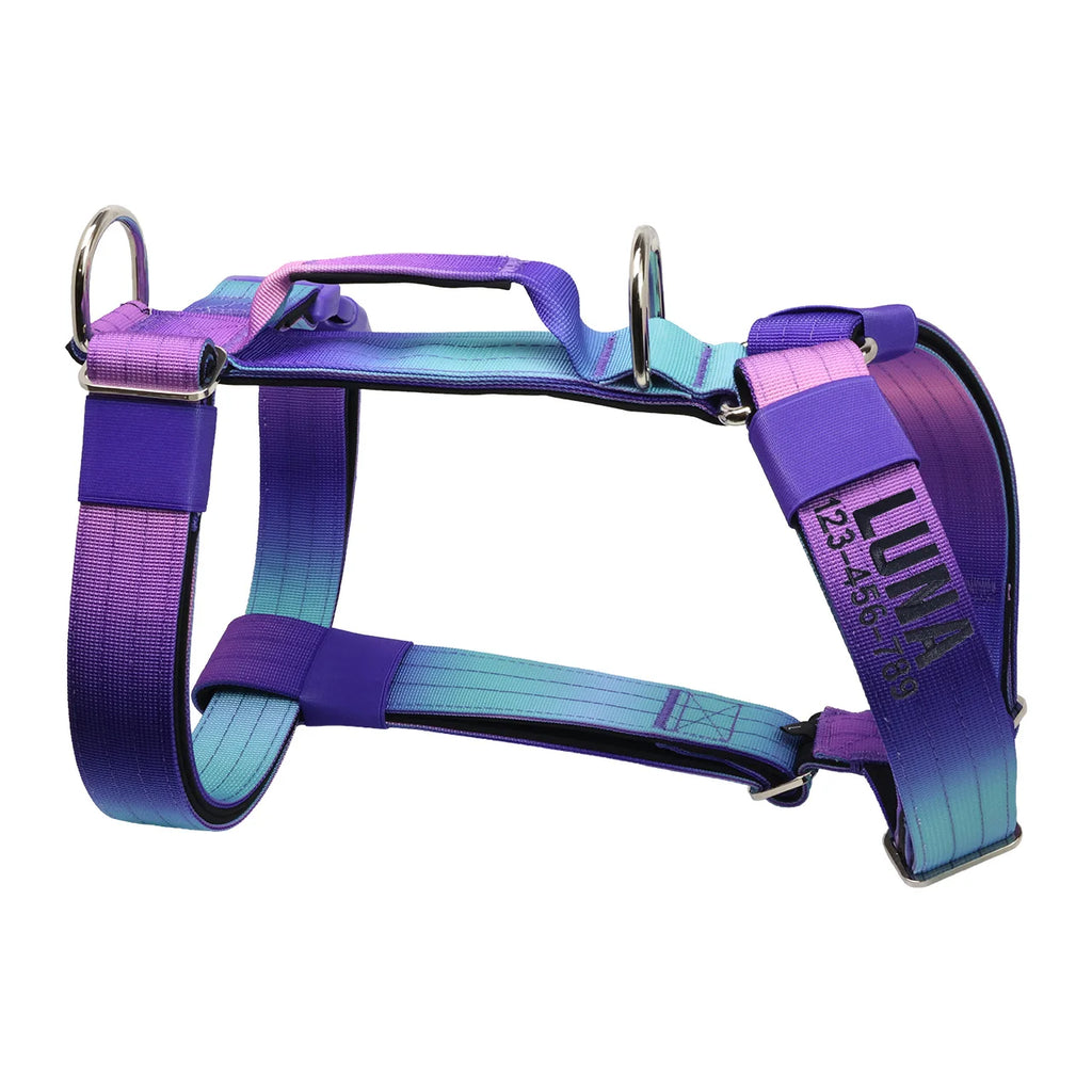 No Pull Reflective Dog Harness, Adjustable Chest Vest for Small Medium Large Dogs, Custom Embroidered Name & Phone