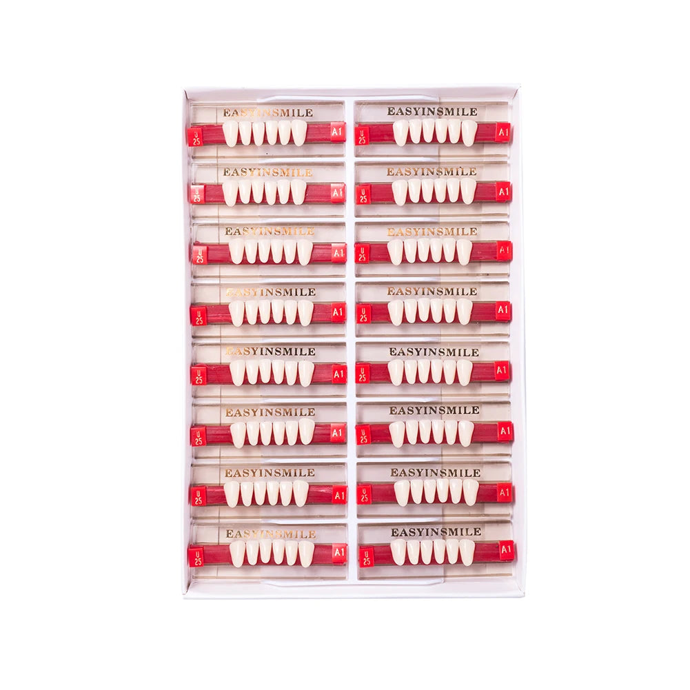 84/96PCS Dental Resin Teeth Acrylic Synthetic Denture A1 A2 A3 Shade 2-Layer Acrylic Denture Education Model Upper/Lower A1-D4