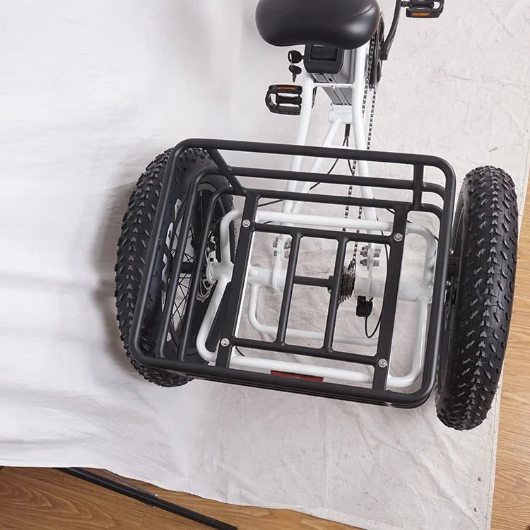 Pedals 3 Wheel Electric Tricycle  with Fat Tire
