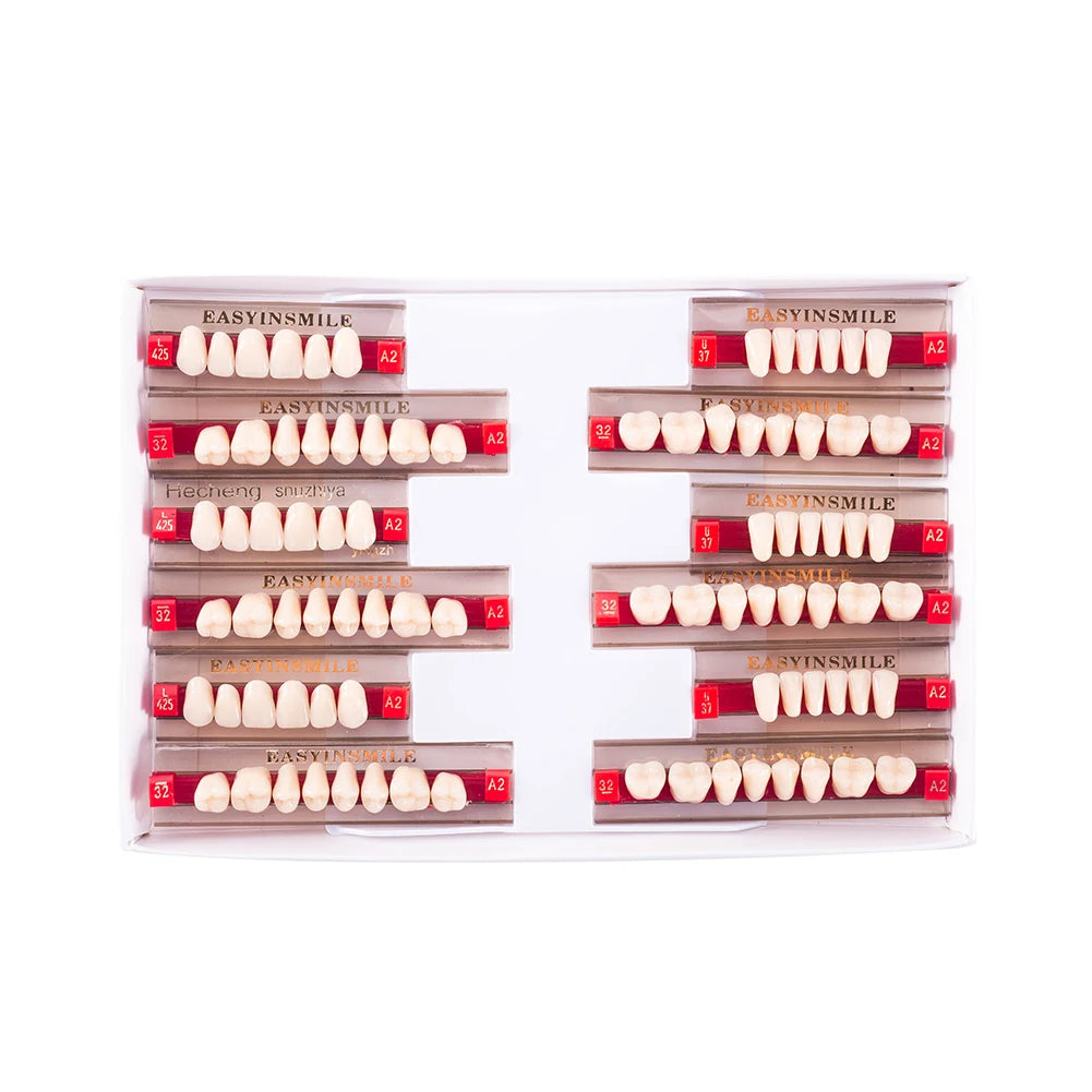 84/96PCS Dental Resin Teeth Acrylic Synthetic Denture A1 A2 A3 Shade 2-Layer Acrylic Denture Education Model Upper/Lower A1-D4