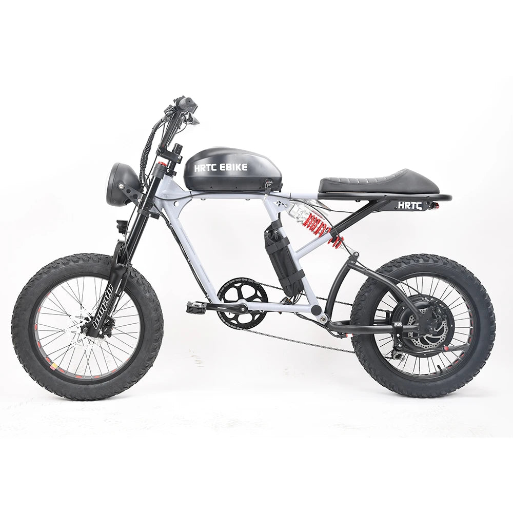Electric Retro Motorcycle with Soft Tail, High Power Motor, Off-Road Motorbike, Off-road Bicycle, 20 Super Ebike, 48V, 1500W
