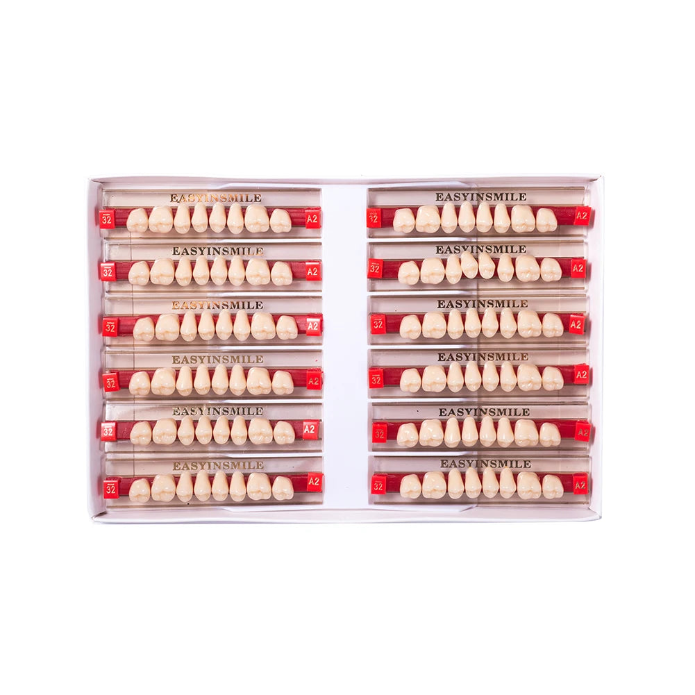 84/96PCS Dental Resin Teeth Acrylic Synthetic Denture A1 A2 A3 Shade 2-Layer Acrylic Denture Education Model Upper/Lower A1-D4