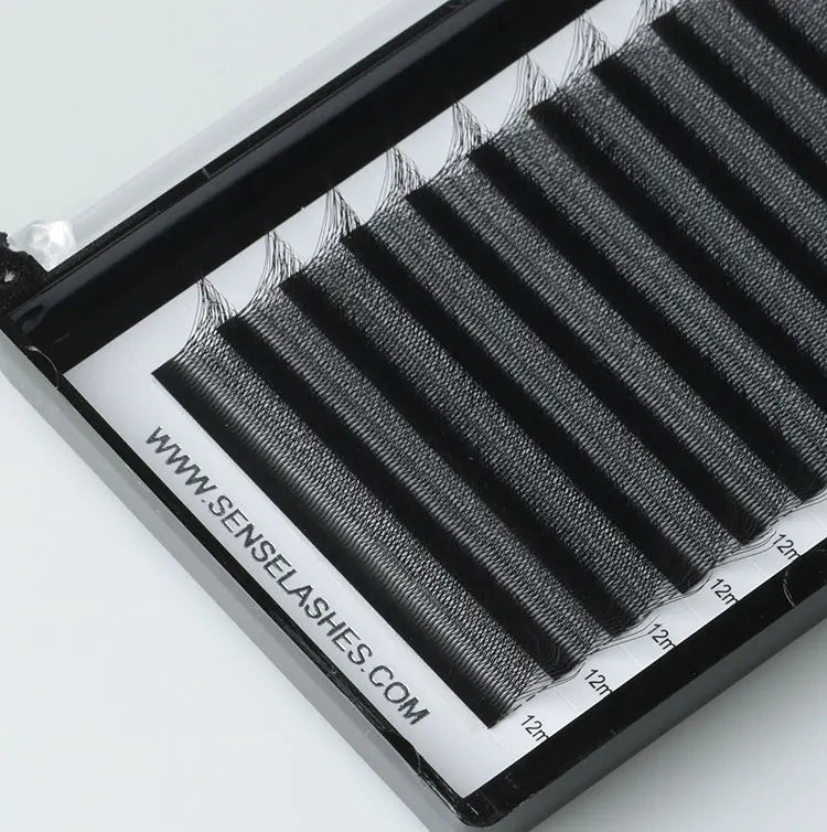 SENSE LASHES 12 Rows 3D 4D 5D 6D W Shape Eyelash Premade Volume Fans Natural Soft Light Full Dense Eyelash Extensions Supplies