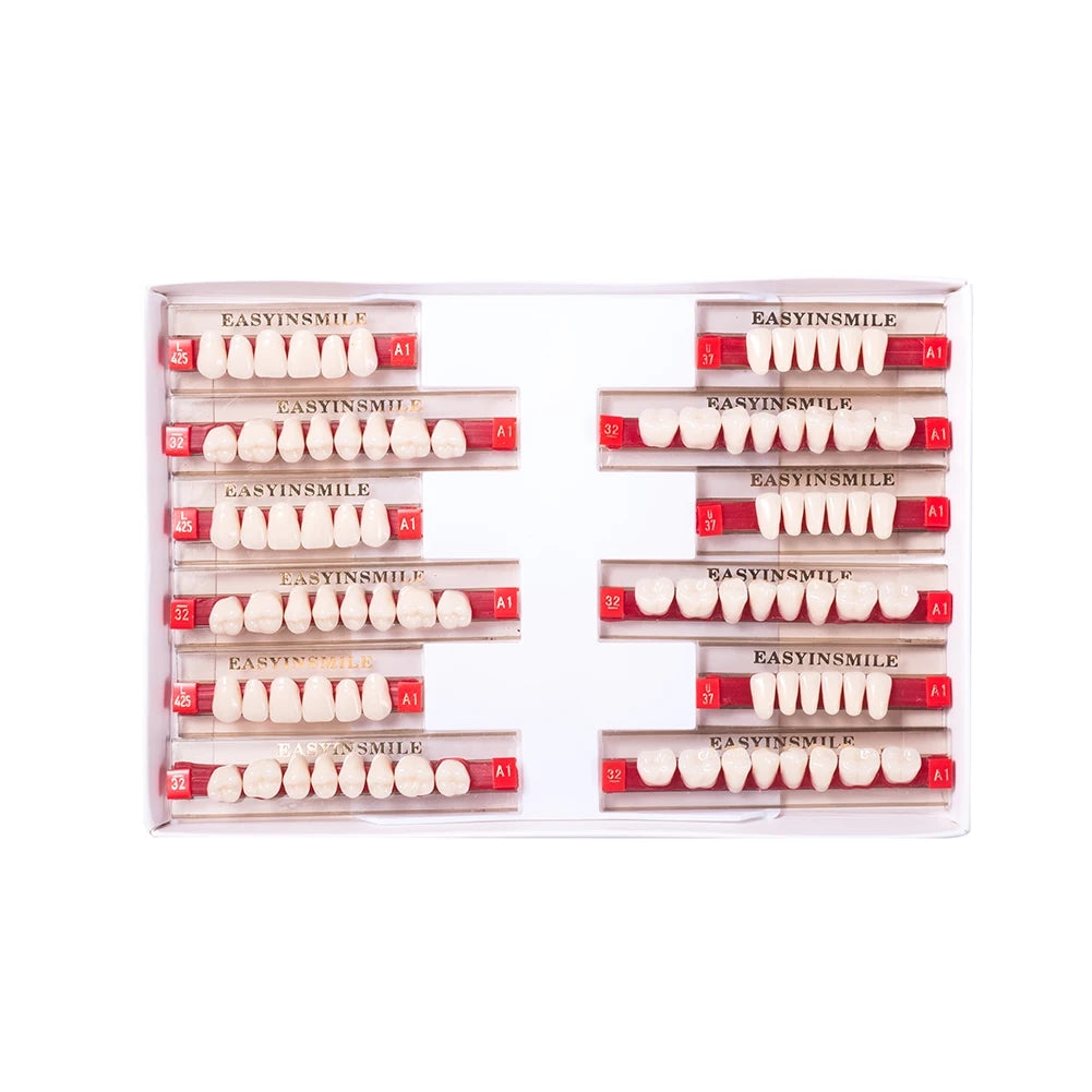 84/96PCS Dental Resin Teeth Acrylic Synthetic Denture A1 A2 A3 Shade 2-Layer Acrylic Denture Education Model Upper/Lower A1-D4