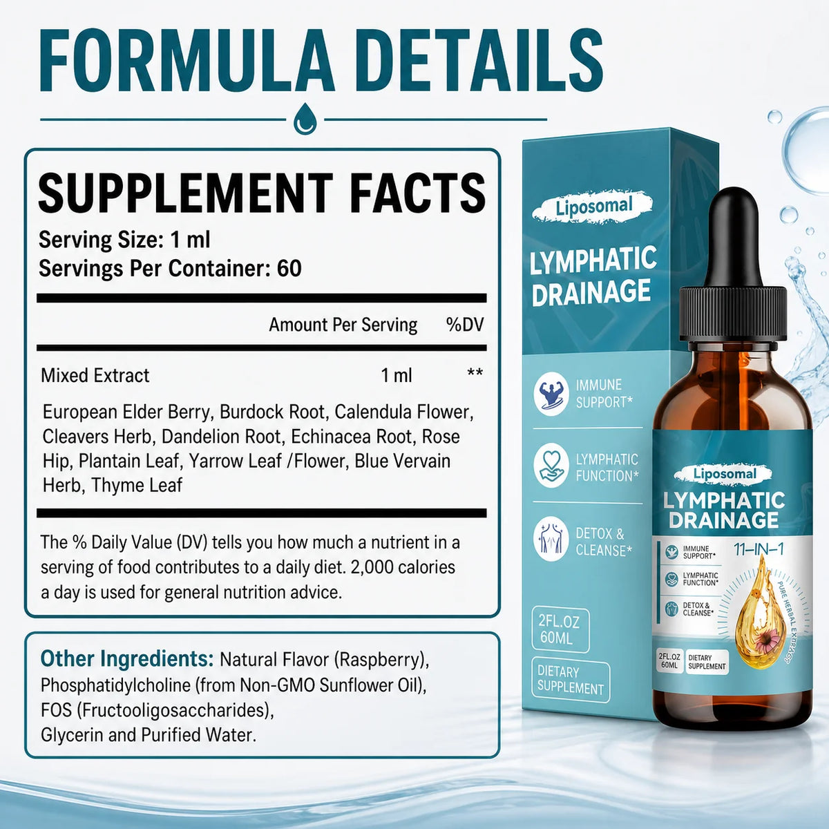 Lymphatic Drainage Support Drops with Elderberry Echinacea Burdock & Dandelion for Fluid Balance Detox & Circulation 2 Fl Oz
