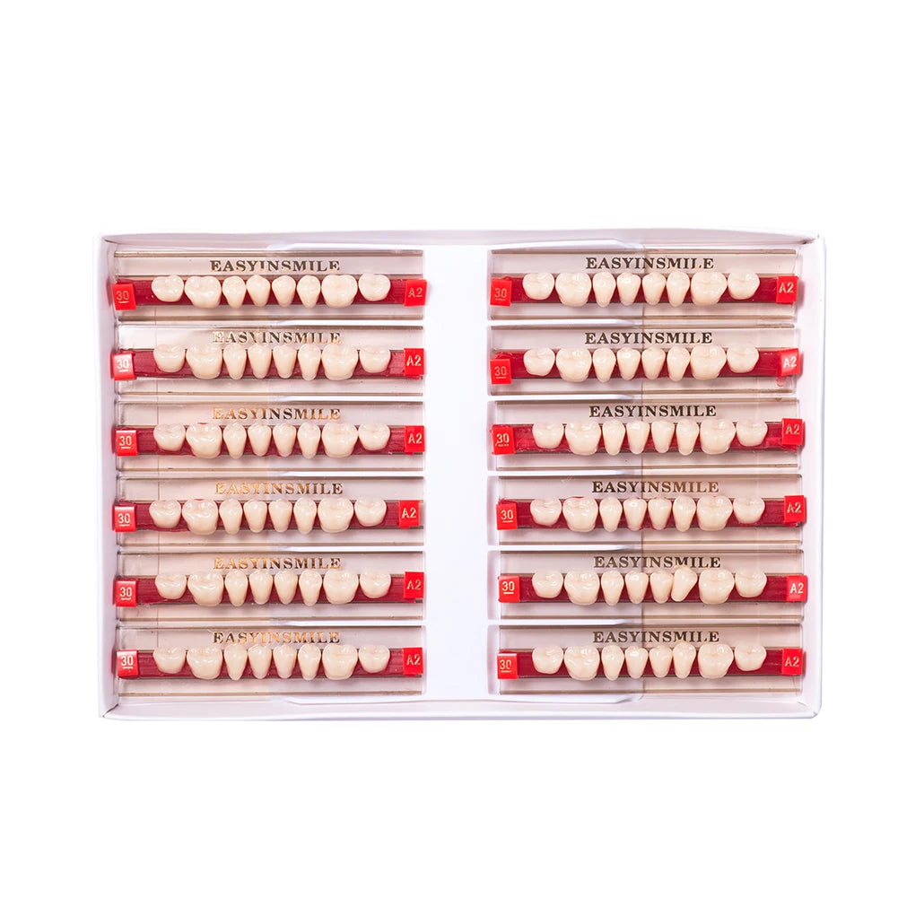 84/96PCS Dental Resin Teeth Acrylic Synthetic Denture A1 A2 A3 Shade 2-Layer Acrylic Denture Education Model Upper/Lower A1-D4
