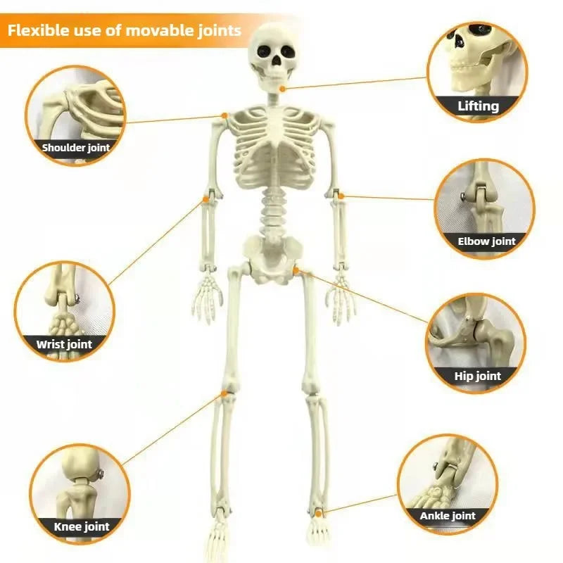 1PC Posable Human Skeleton Model Halloween Decor Hanging Ghost Haunted House Home Ornament Scary Party DIY Decoration Supplies ﻿