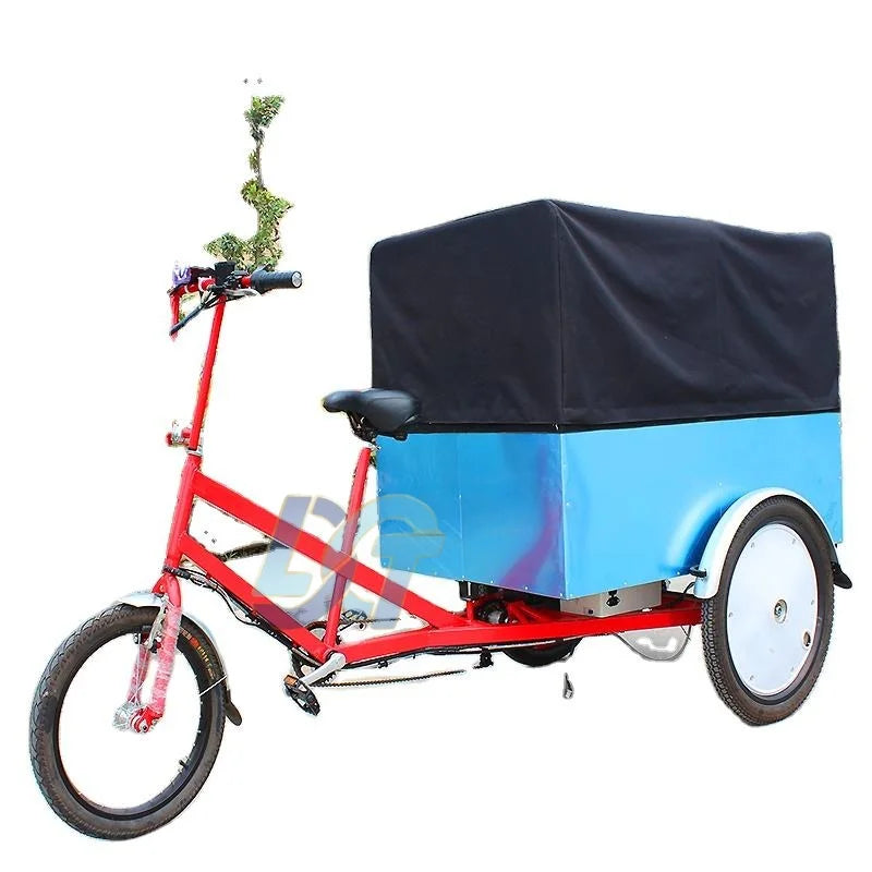 Goods Electric Truck Delivery Tricycle with 500w Motor E-cargo Tricycle