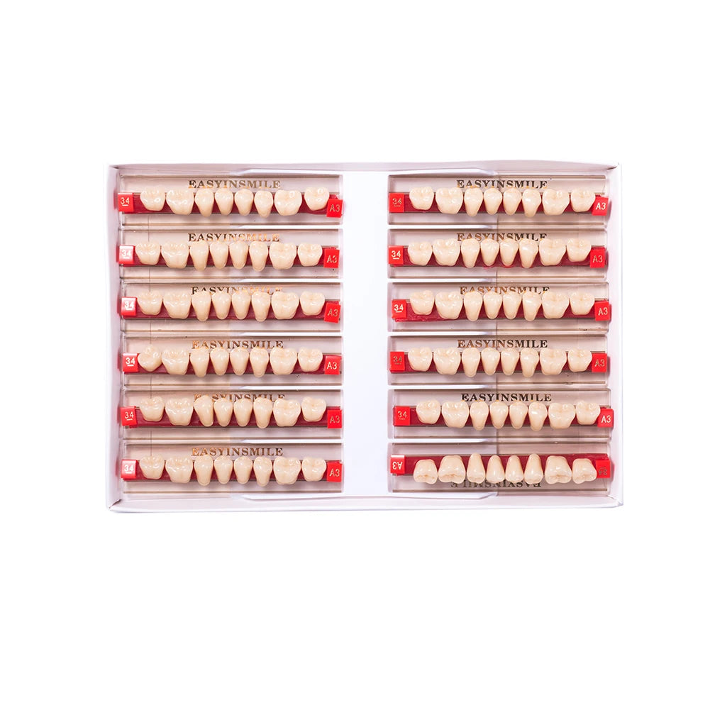 84/96PCS Dental Resin Teeth Acrylic Synthetic Denture A1 A2 A3 Shade 2-Layer Acrylic Denture Education Model Upper/Lower A1-D4